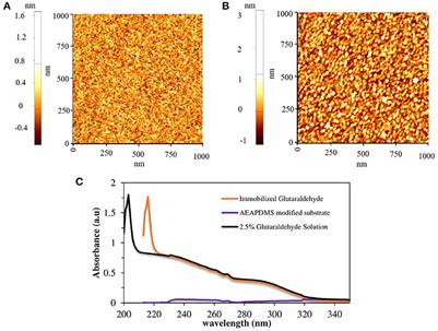 Immobilized Polydiacetylene Lipid Vesicles on Polydimethylsiloxane Micropillars as a Surfactin-Based Label-Free Bacterial Sensor Platform